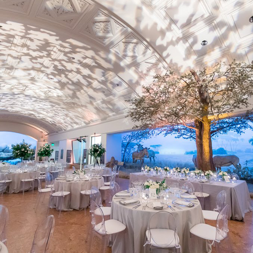 event photo in African hall with round tables