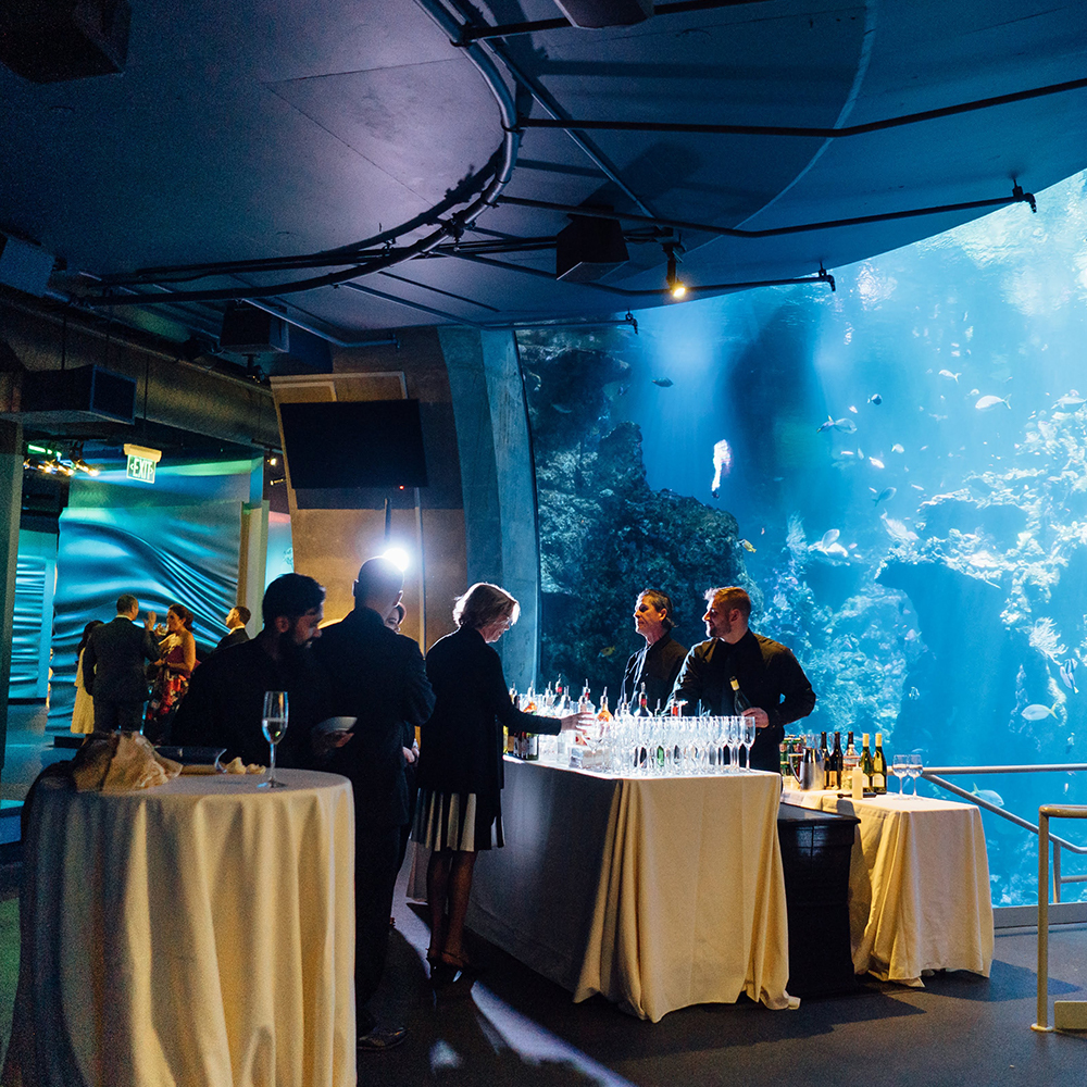 bar set up by the aquarium