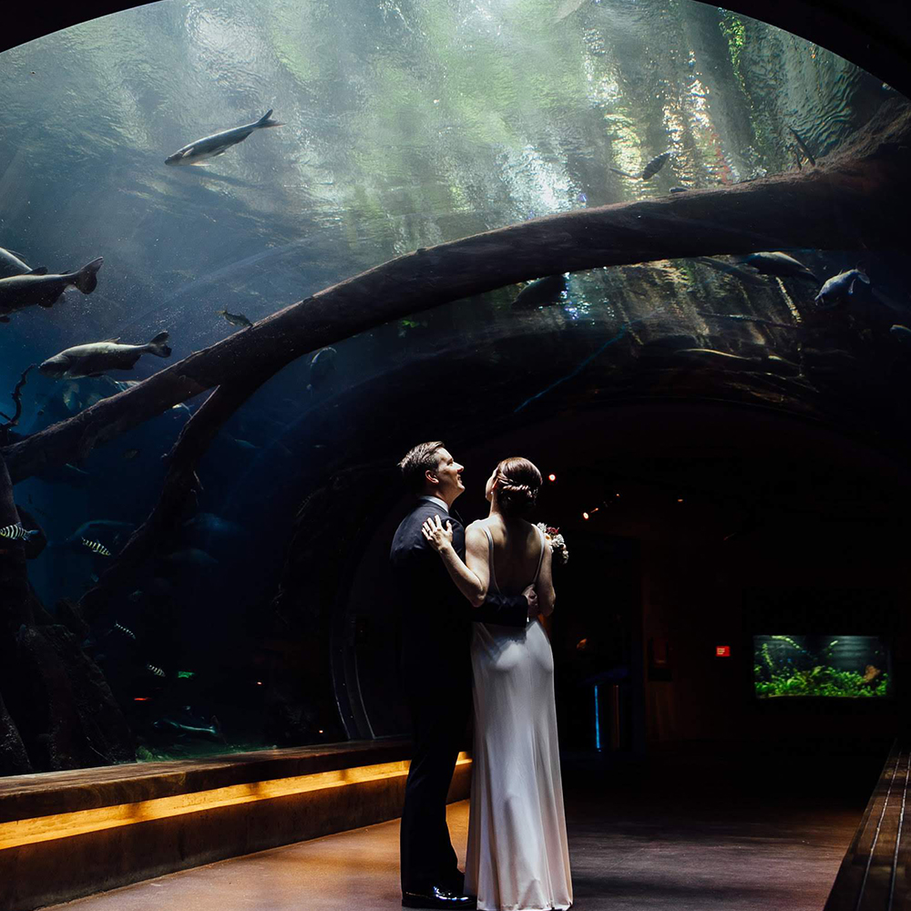 Wedding in the Amazon flooded tunnel