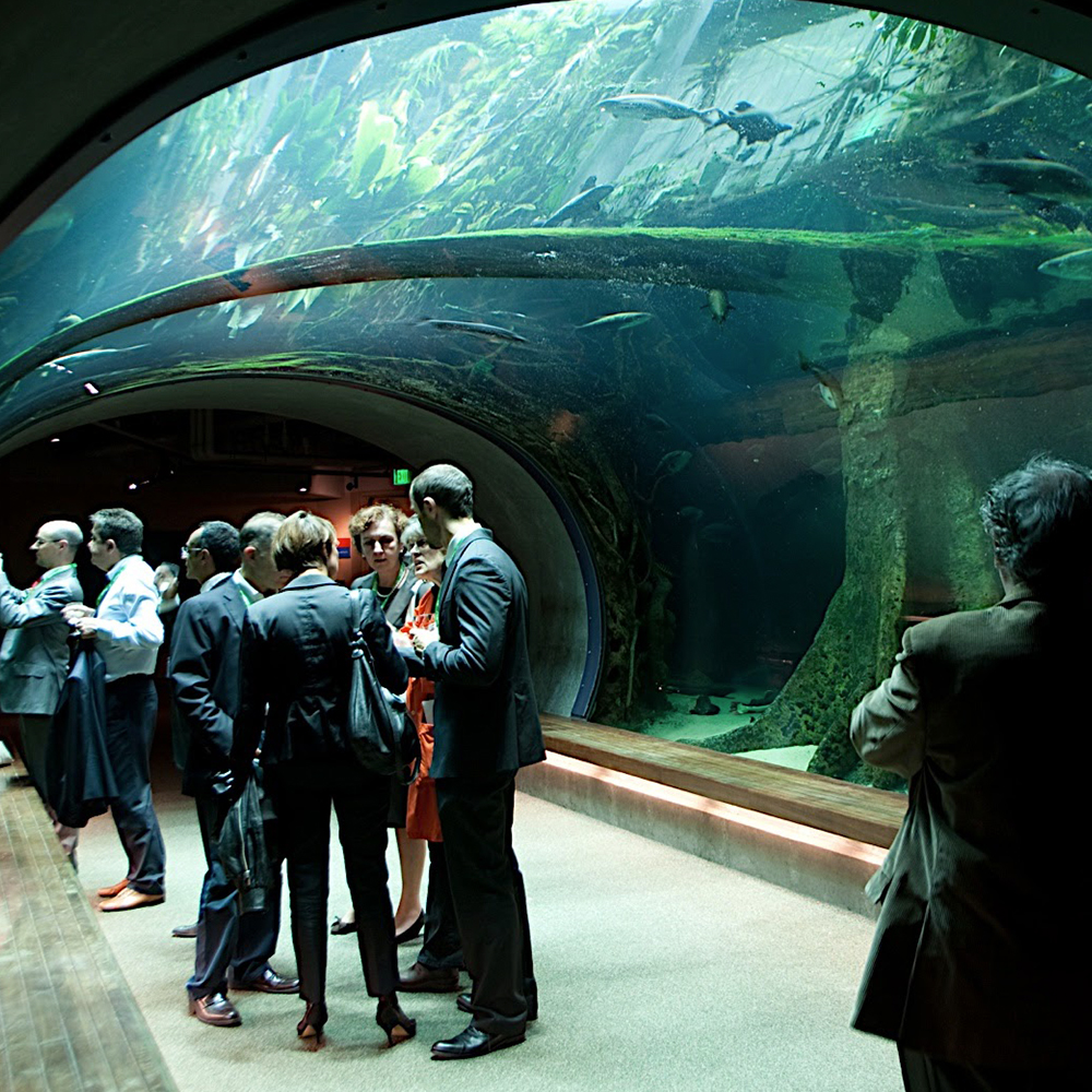 convention in the Amazon flooded tunnel