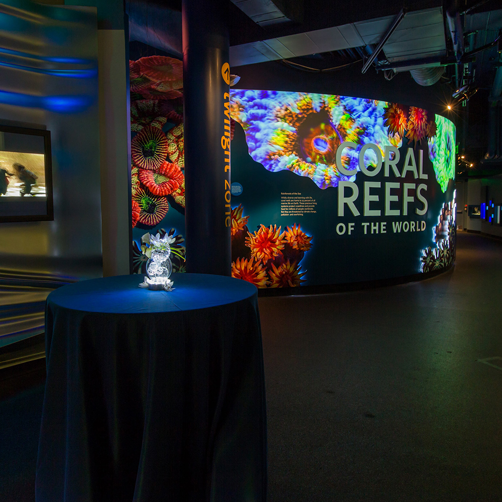 table set up by entrance to Hidden Reefs exhibit