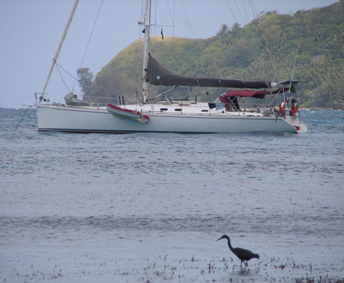 Dalai off Skelton Island