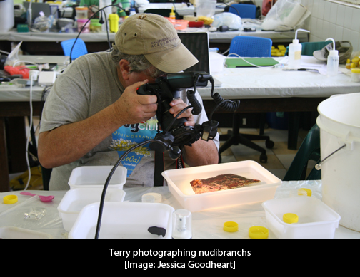 terry-photographing