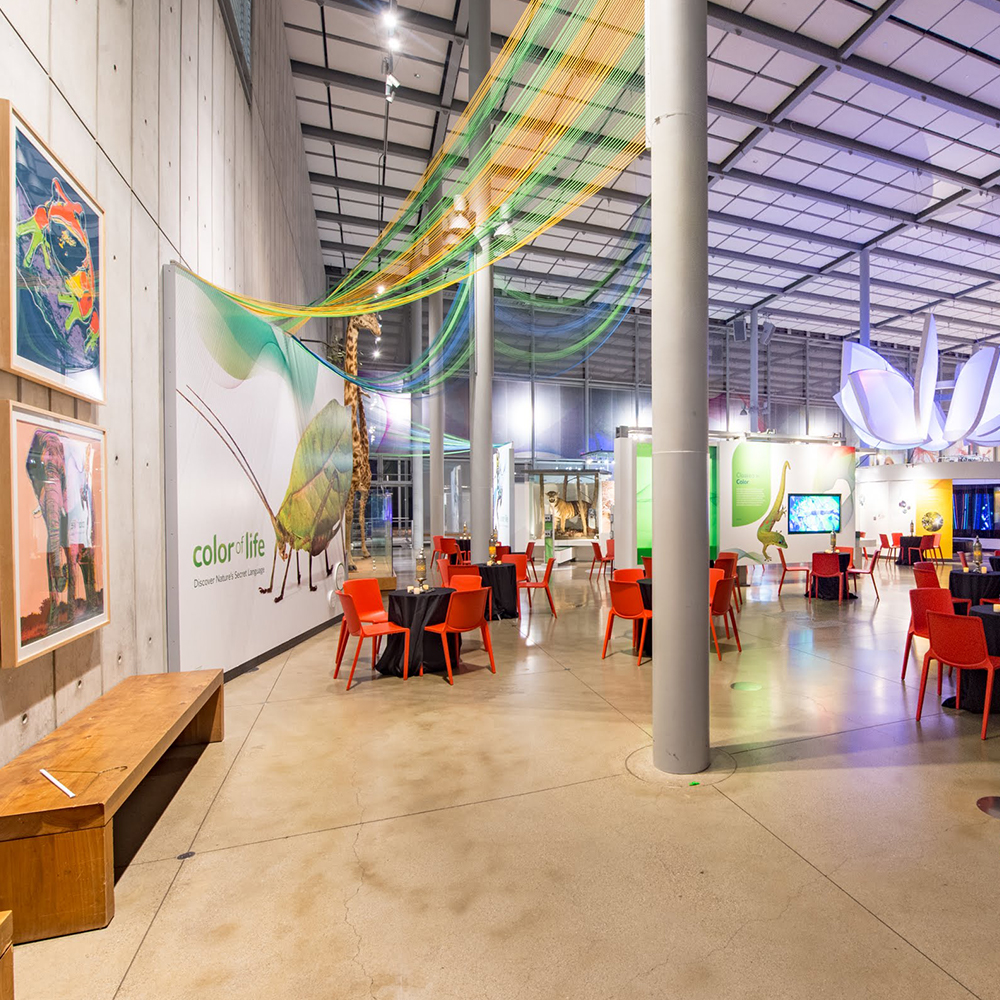 tables set up for an event by Color of Life exhibit