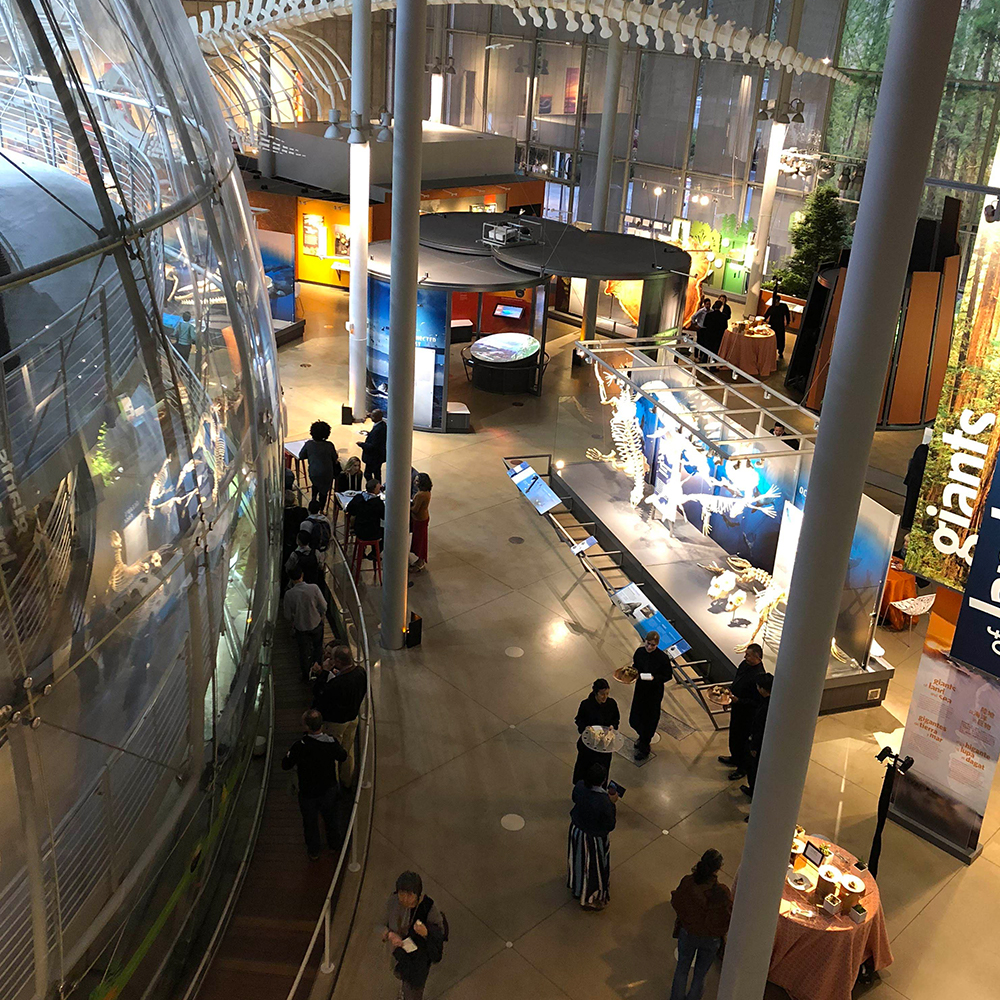 view of west hall from second floor