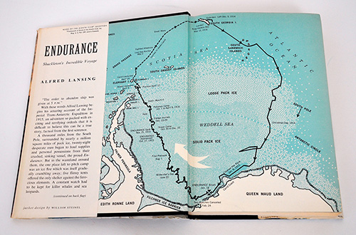 endurance-lansing-hc-map-view2-00012-500x330