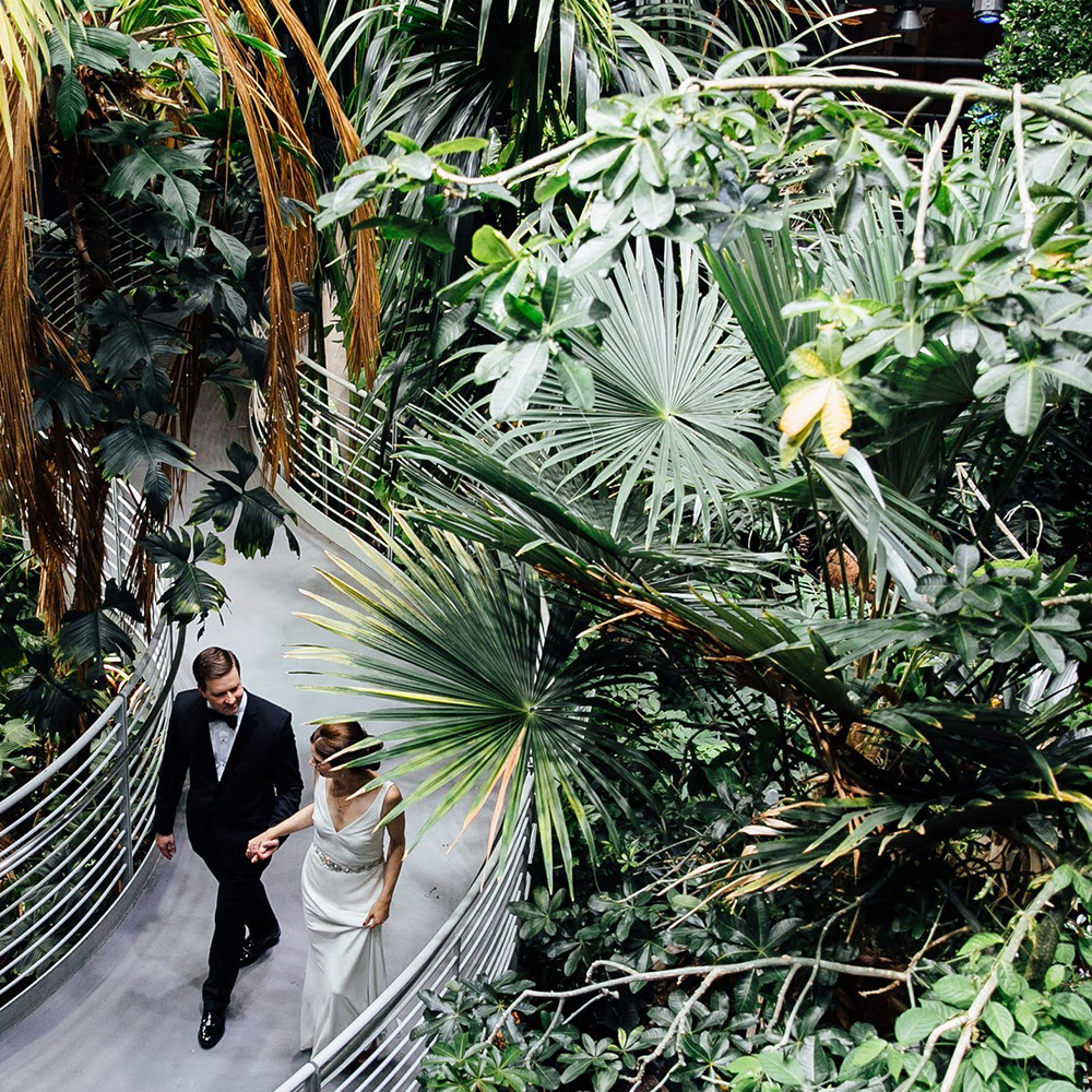 wedding in the rainforest