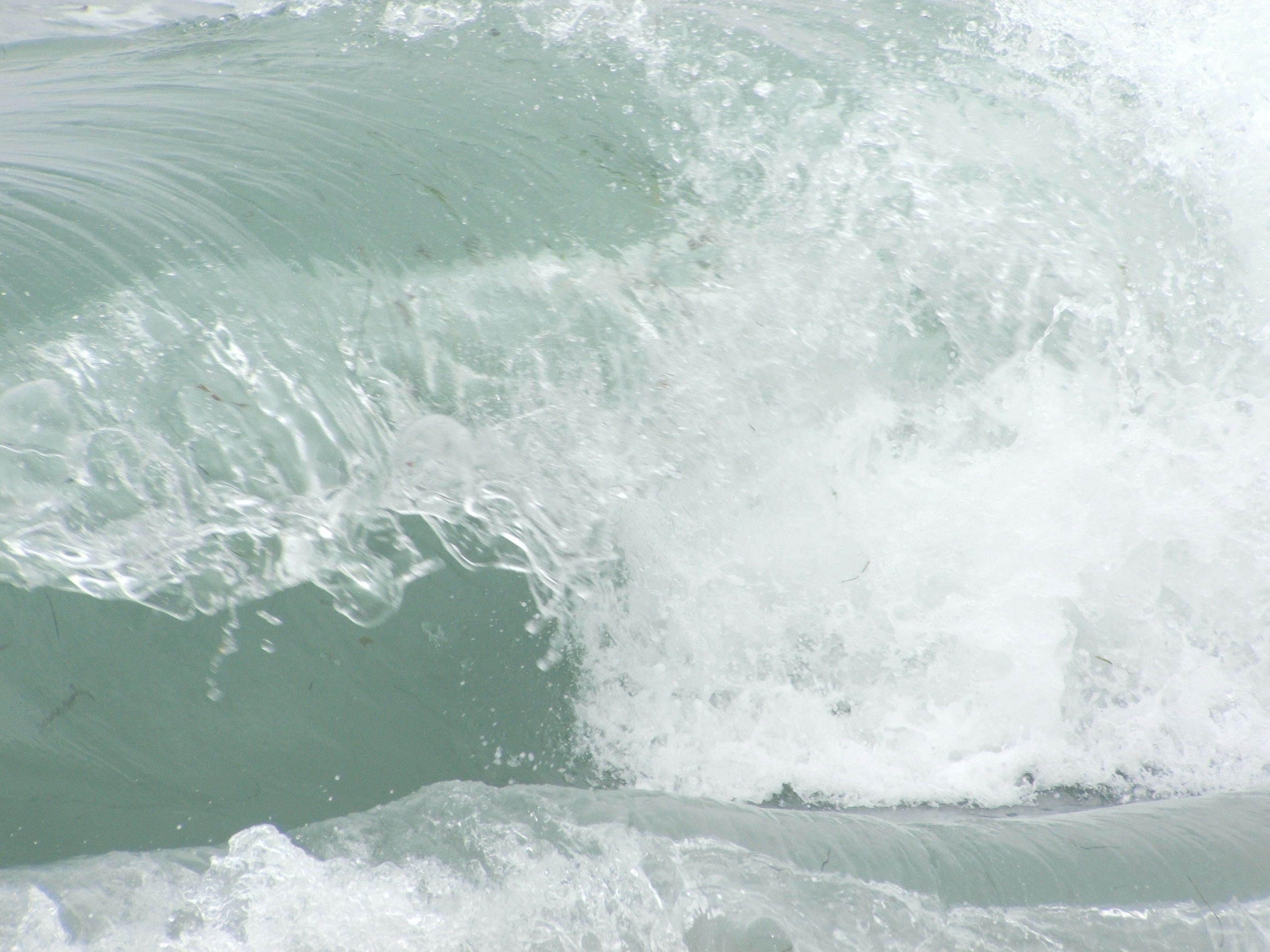 Asilomar_State_Beach_(Breaking_wave)_03