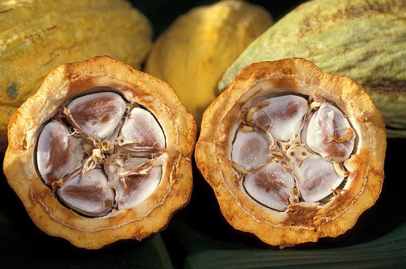 Cacao-pod-k4636-14