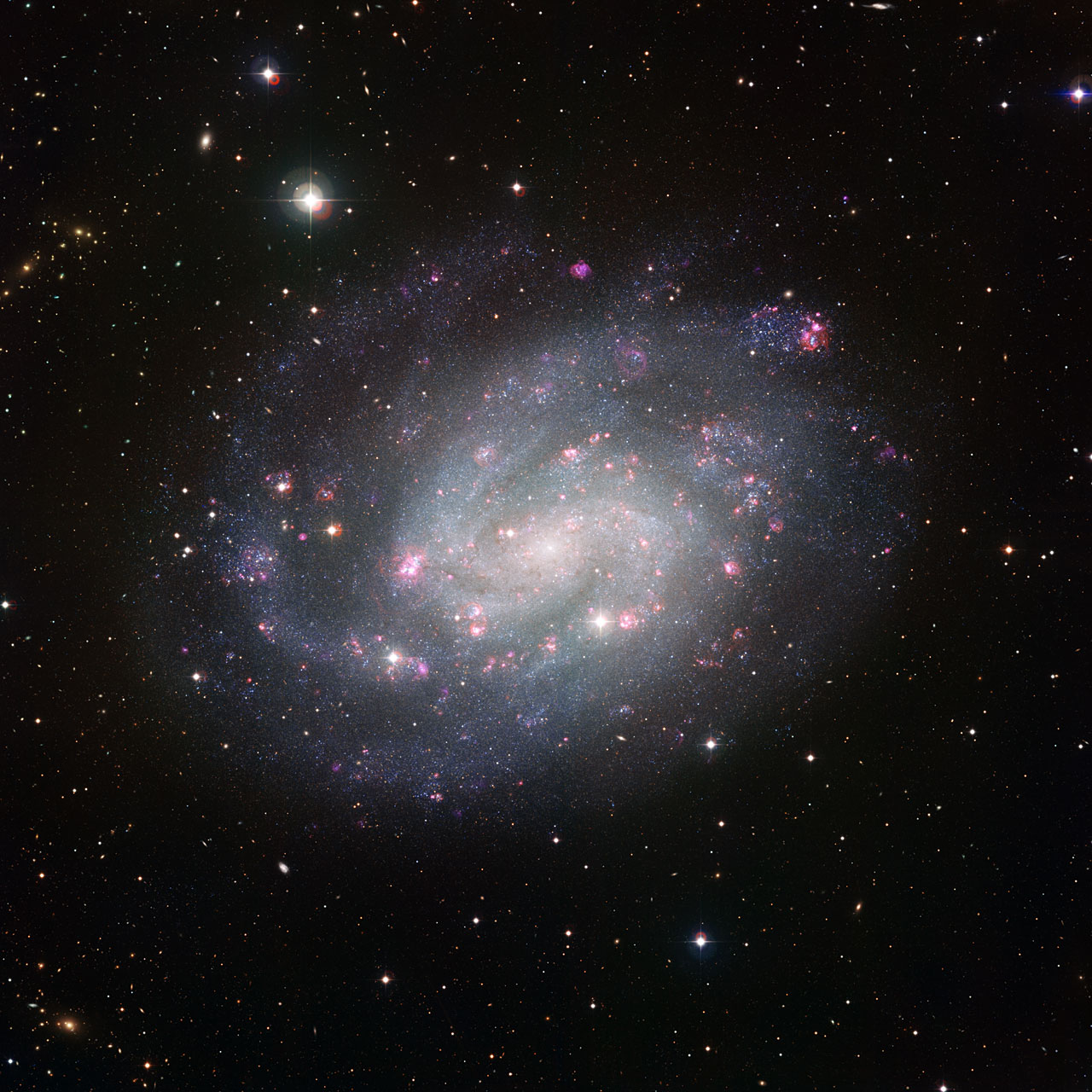 NGC 300