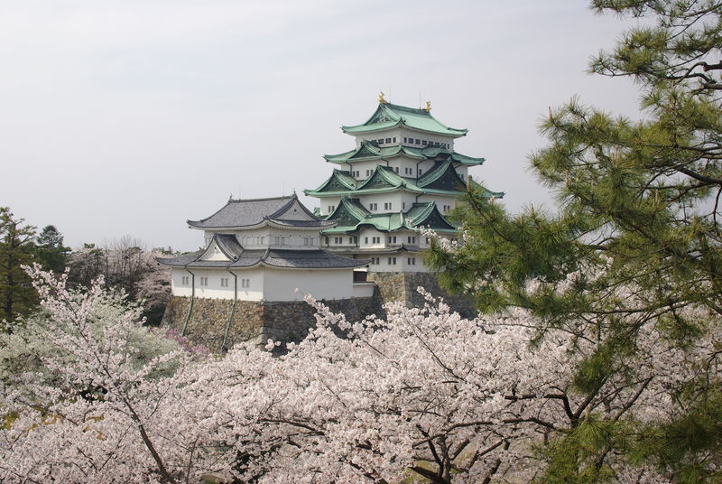 800px-080405_nagoya_csl_sakura