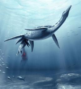 Plesiosaur