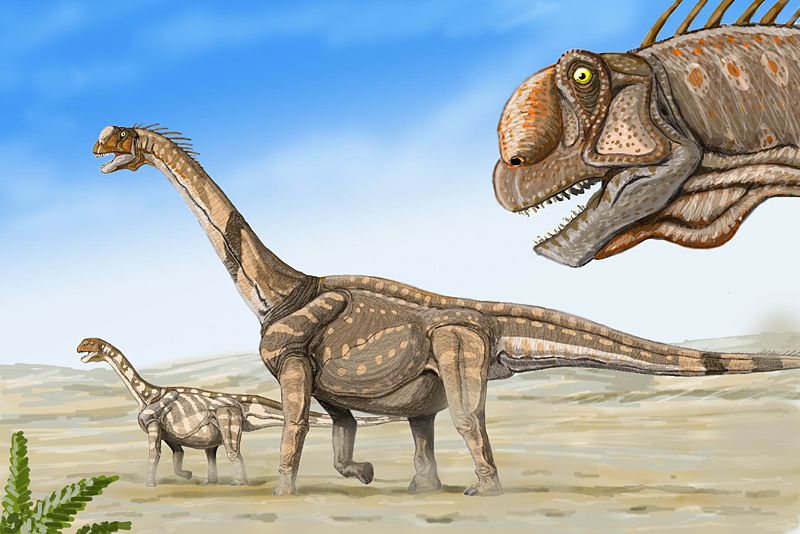 Camarasaurs1