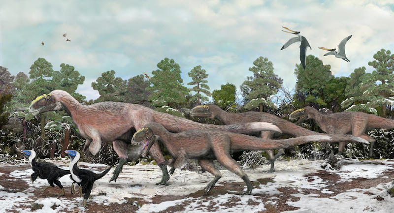 Yutyrannus