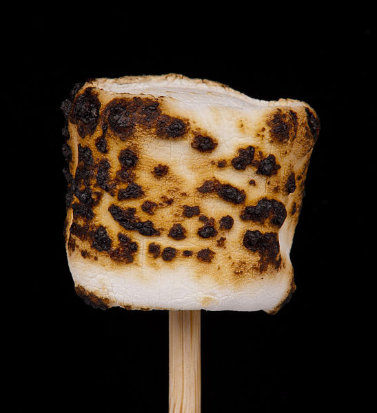 Roasted-Marshmallow