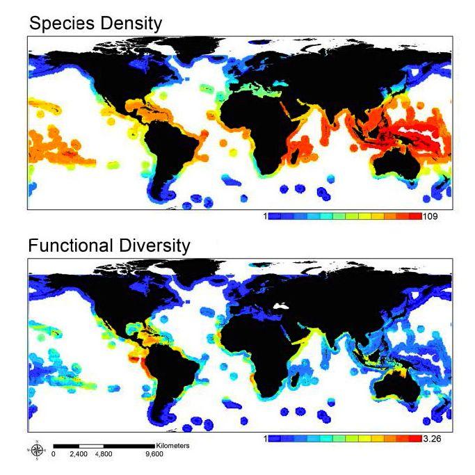 biodiversity