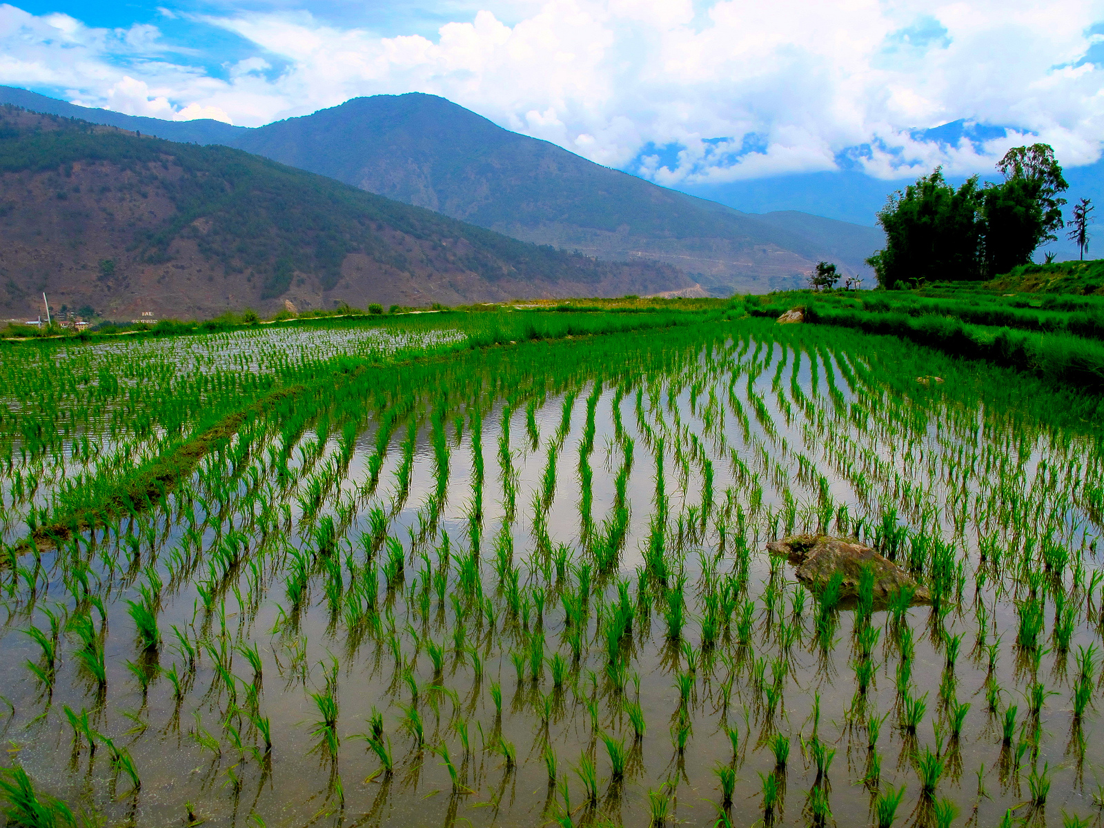 Bhutan