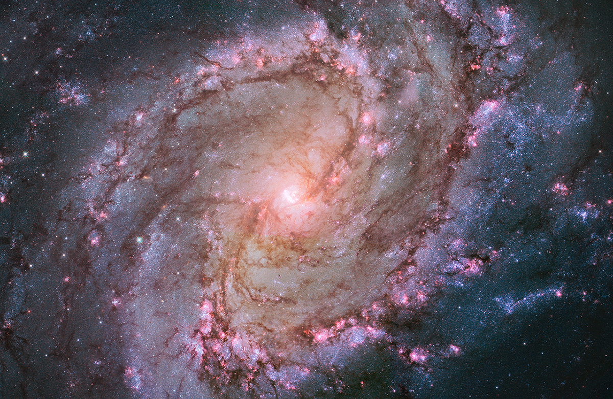 M83-2014-04-a-large_web