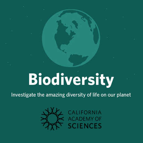 Biodiversity course wordmark