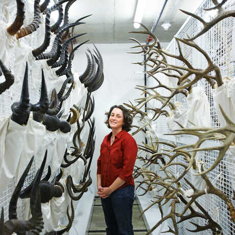 A woman stands in the middle of our antler collections. 