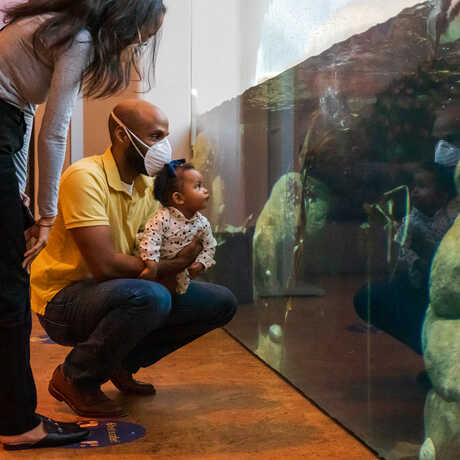 Family with baby look at African penguins