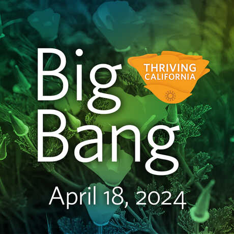 Image of poppies with copy "Big Bang April 18, 2024."