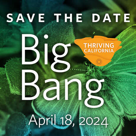 Image of xerces blue butterfly with copy "Save the Date Big Bang April 18, 2024."