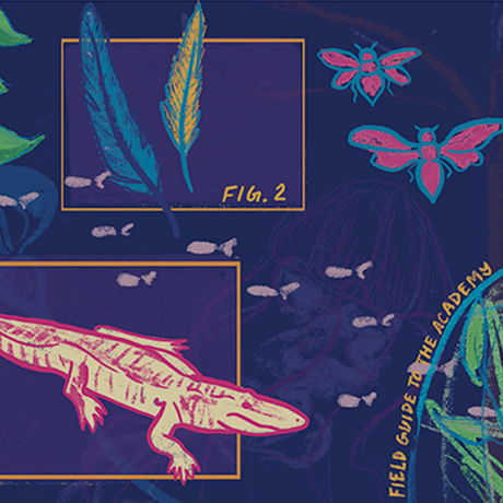 Colorful illustration of different Academy animals
