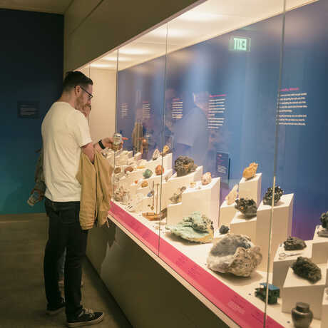 2 guests look at gems and minerals exhibition during nightlife event