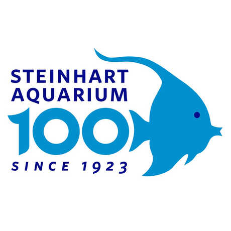 Steinhart Aquarium centennial wordmark with stylized Moorish Idol fish
