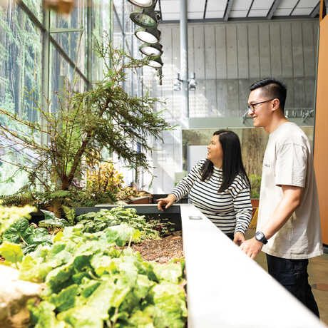 Young member couple observing the Giants of Land and Sea exhibition at the Academy