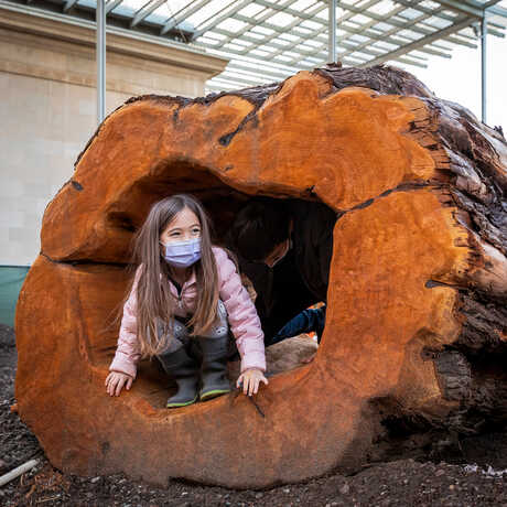 Masked girl plays inside a giant hollowed-out log in Wander Woods