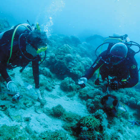 Meg Burke collecting dive