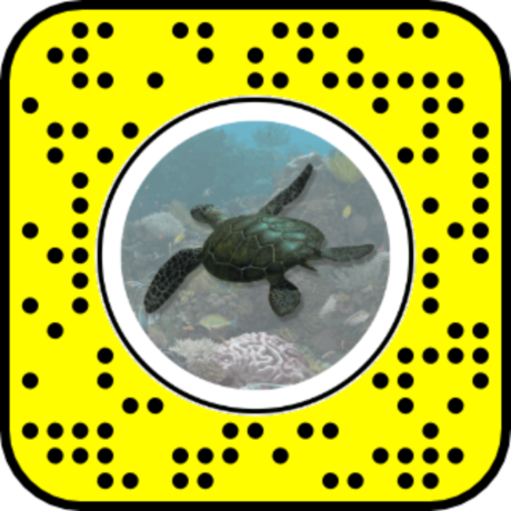 Snapcode for Green Sea Turtle AR lens