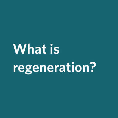 What is regeneration? text box