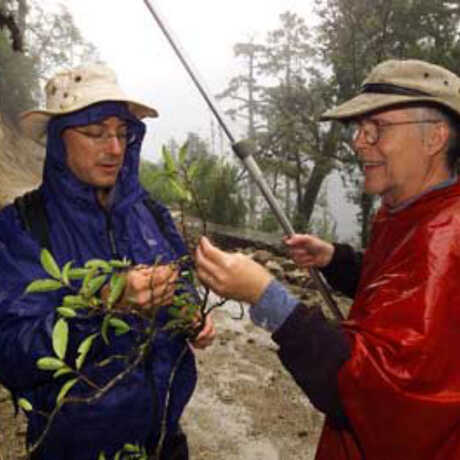 Botanists Peter Fritsch and Bruce Barthalomew. Photo Dong Lin.