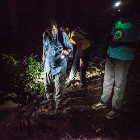Bob Drewes and team on a night-hike in São Tomé and Príncipe