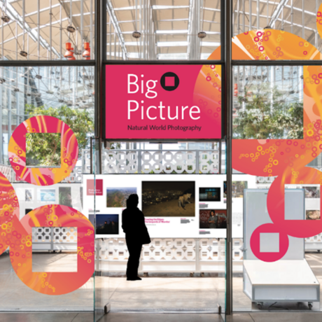 mock up design of the big picture 2024 exhibit, at the Piazza in the Academy with red-orange bubble highlights throughout the exhibit.