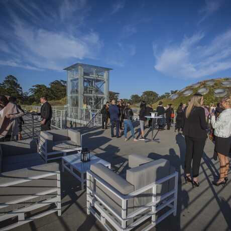 Event on Living Roof under sunny skies