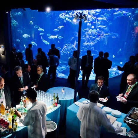 Guests at a private event in the Steinhart Aquarium