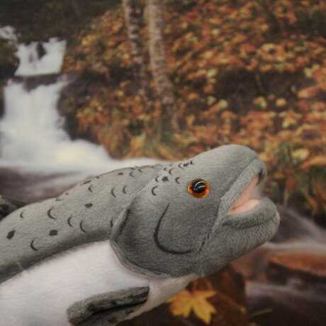 A Chinook salmon puppet with a river image background