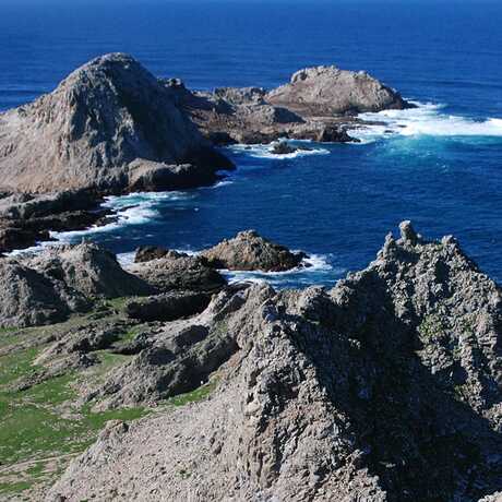 Farallon Islands