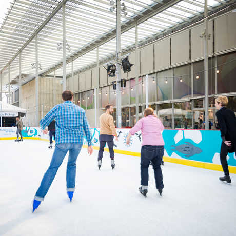 Holiday ice rink 