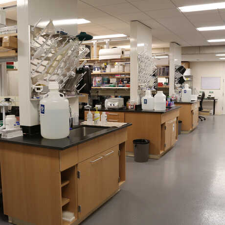 Lab space in the Academy's Center for Comparative Genomics
