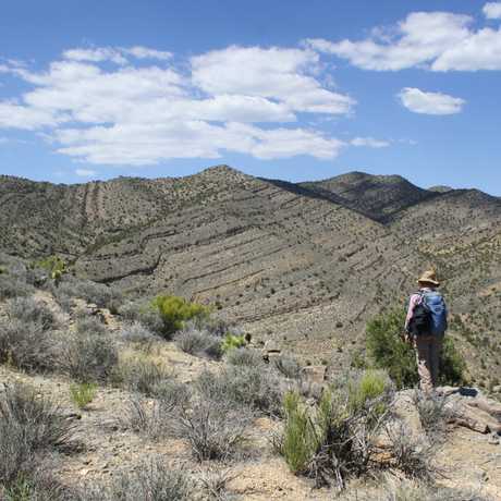 Scientist studying the Great Dying in Nevada