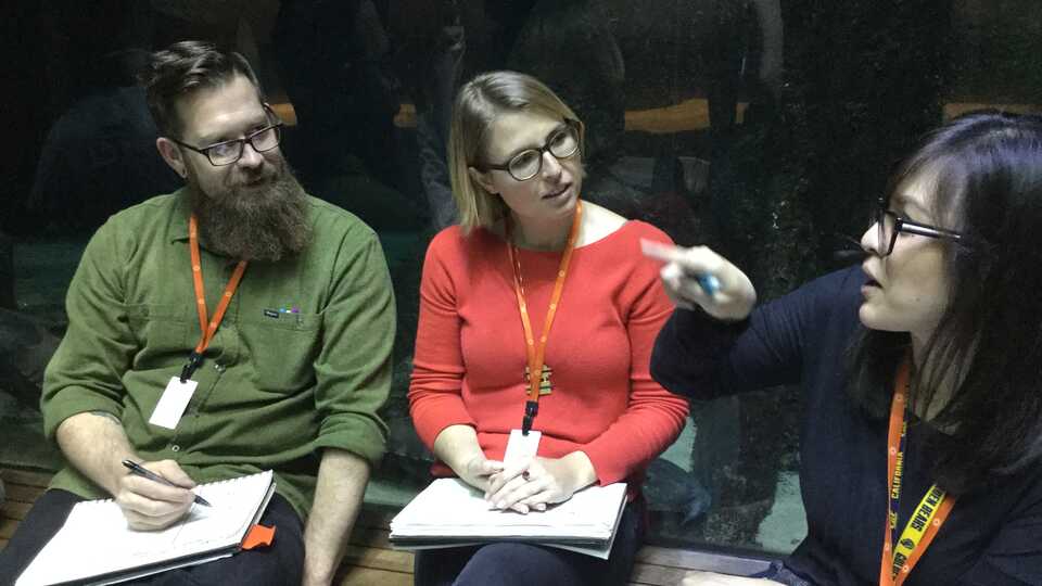 teachers reflect in the aquarium