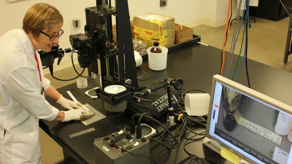 Digital Production Assistant, Kelly Jensen photographing a specimen.