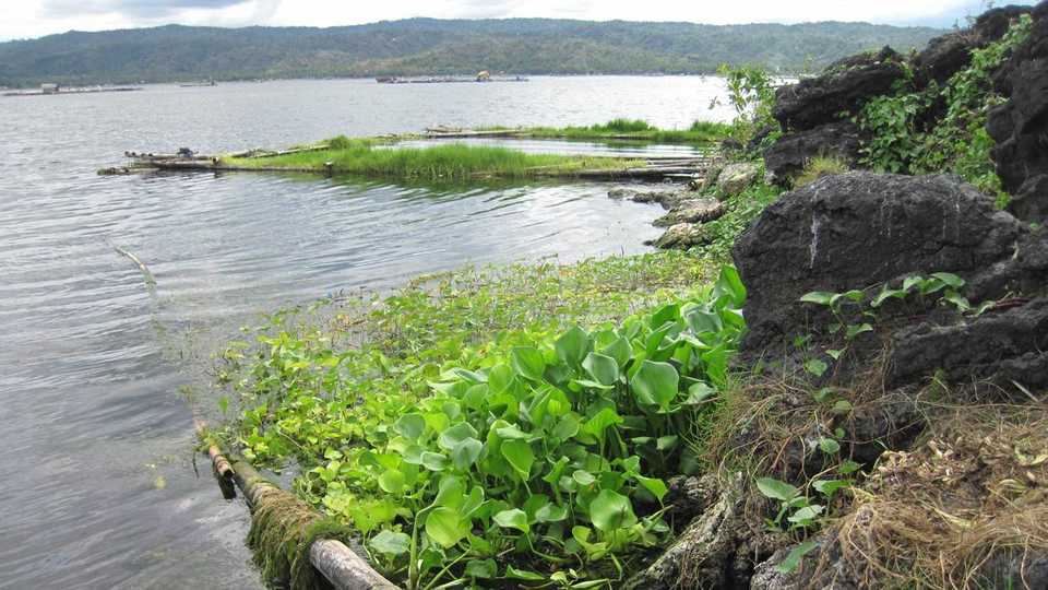 Lake Taal