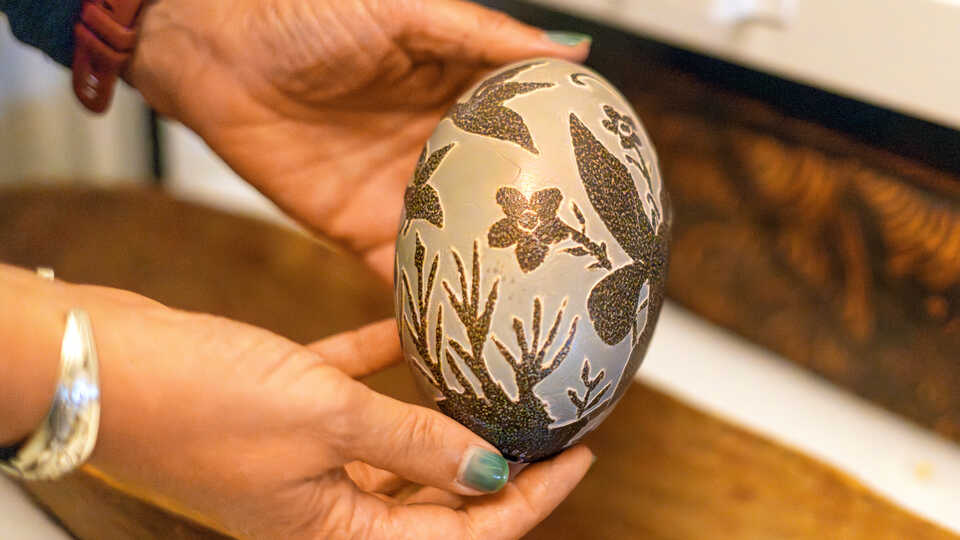 Shannon Tushingham handles an egg specimen from the Academys Anthropology collections. 