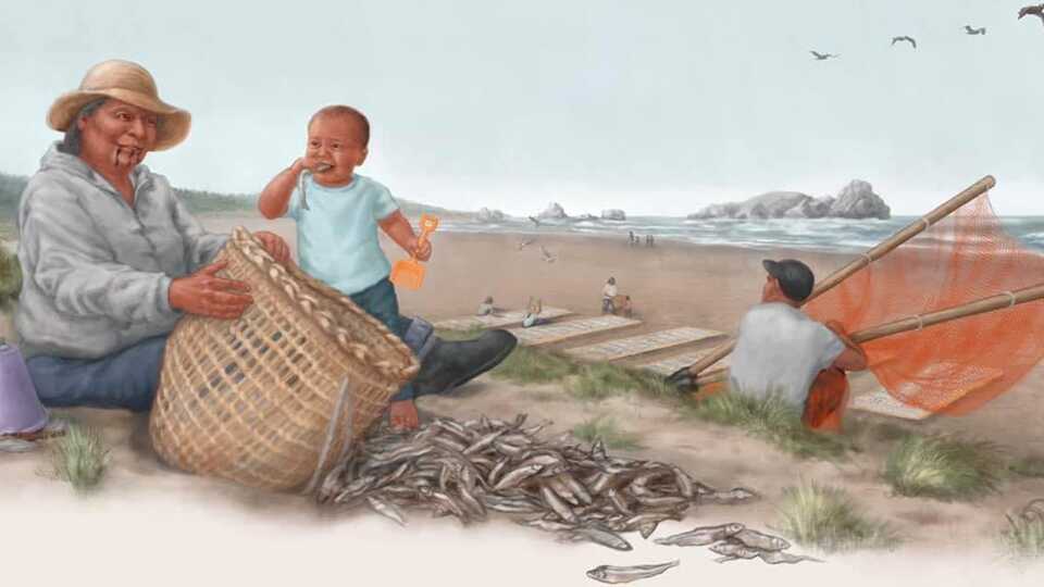 A Tolowa woman holds a basket with a pile of fish at her feet as a young child eats a fish and holds a plastic shovel. This is an illustration showing the use of smelt among Indigenous coastal communities in California. 